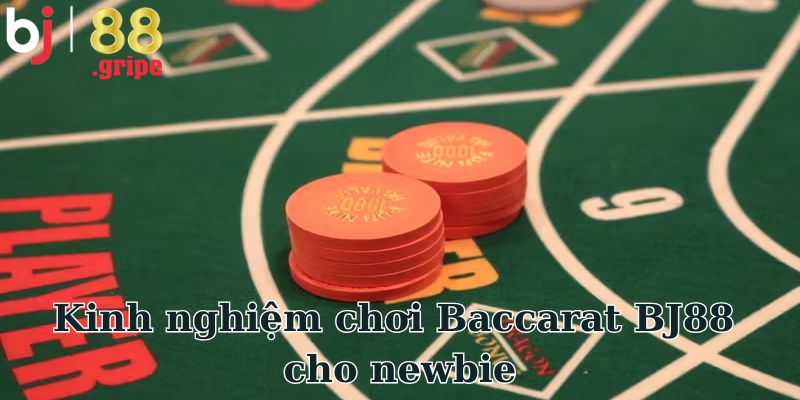 Kinh nghiệm chơi Baccarat BJ88 cho newbie
